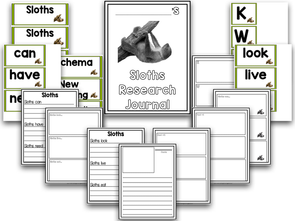 Rainforest Animals Research Project