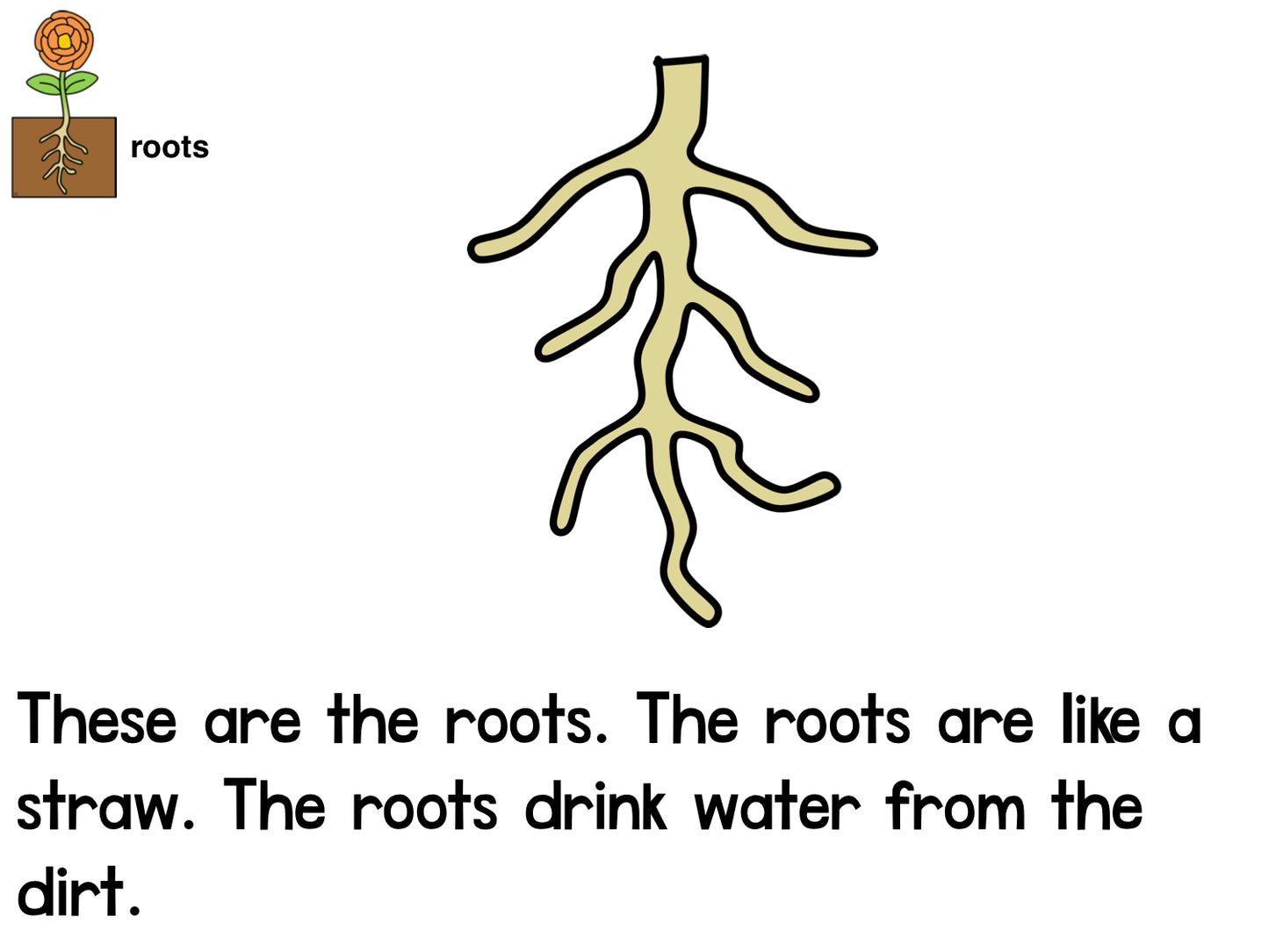 The Parts of a Plant Emergent Reader