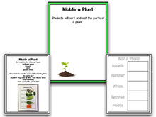 Planting Seeds: A Plants Research and Writing Project PLUS Centers!