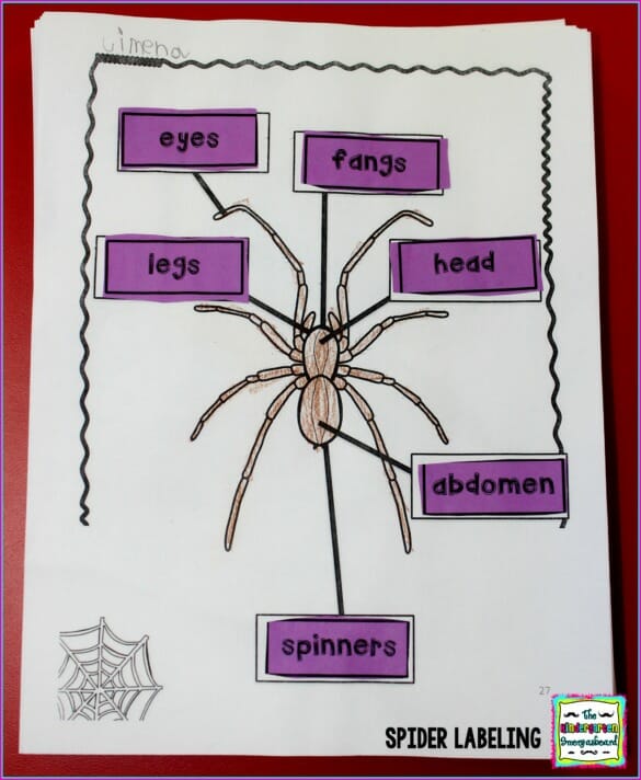 All About Spiders: Science Activities for Kindergarten And First Grade
