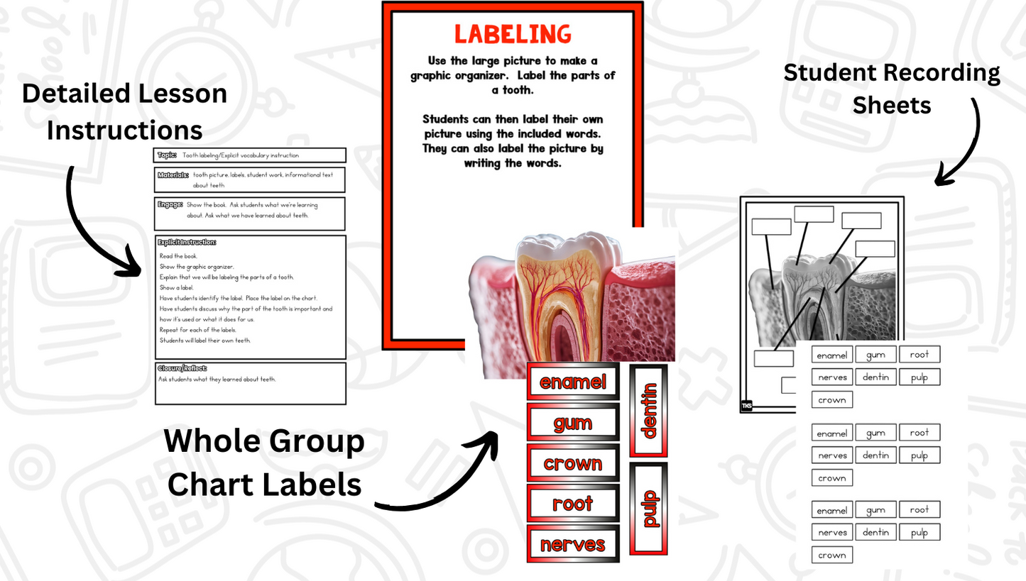 Teeth! A Dental Health Research and Writing Project