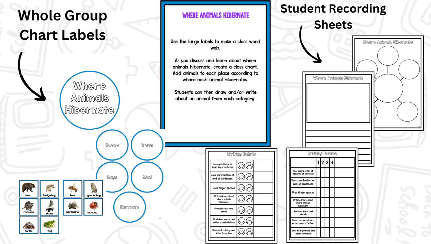 Animals In Winter Research Project