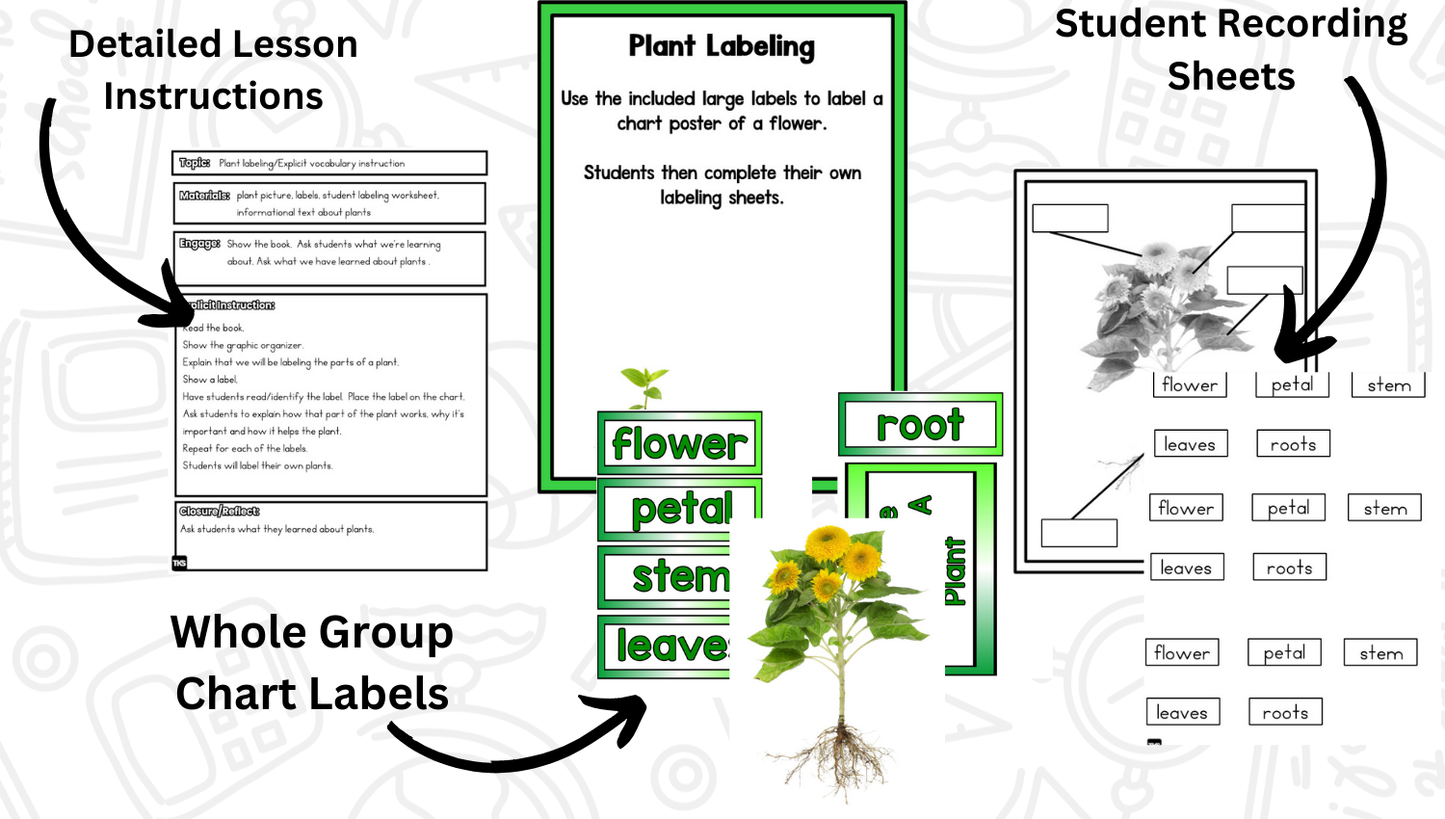 Planting Seeds: A Plants Research and Writing Project PLUS Centers!