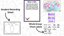 Bats: A Research and Writing Project PLUS Centers!