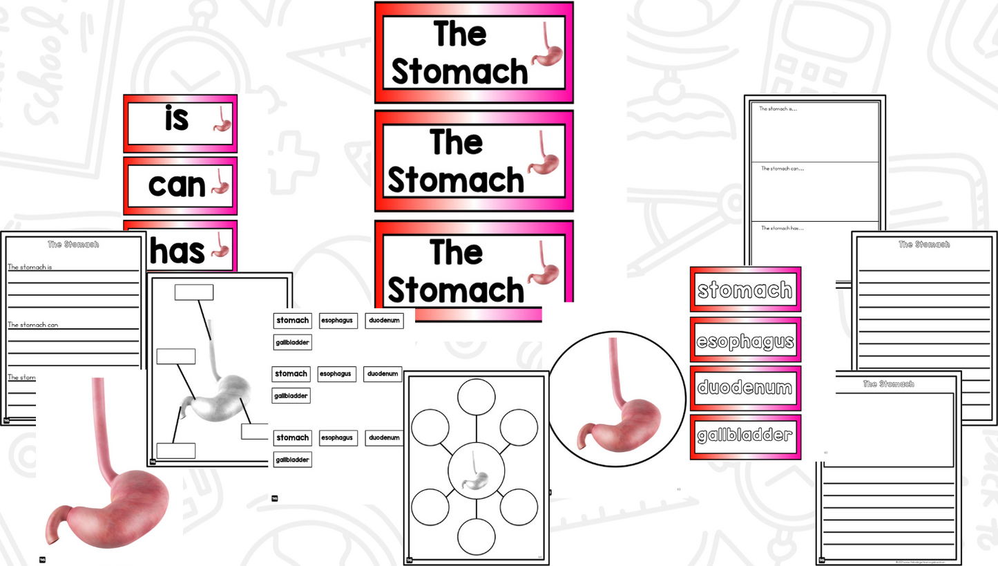 Human Body: A Research and Writing Project PLUS Centers!