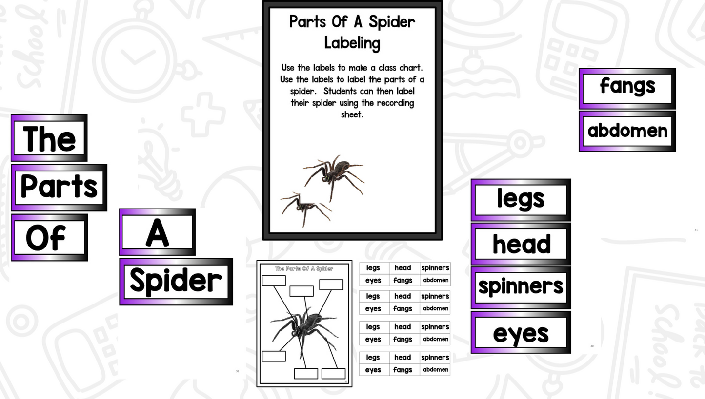 Spiders Reading Writing & Science Activities for Kindergarten