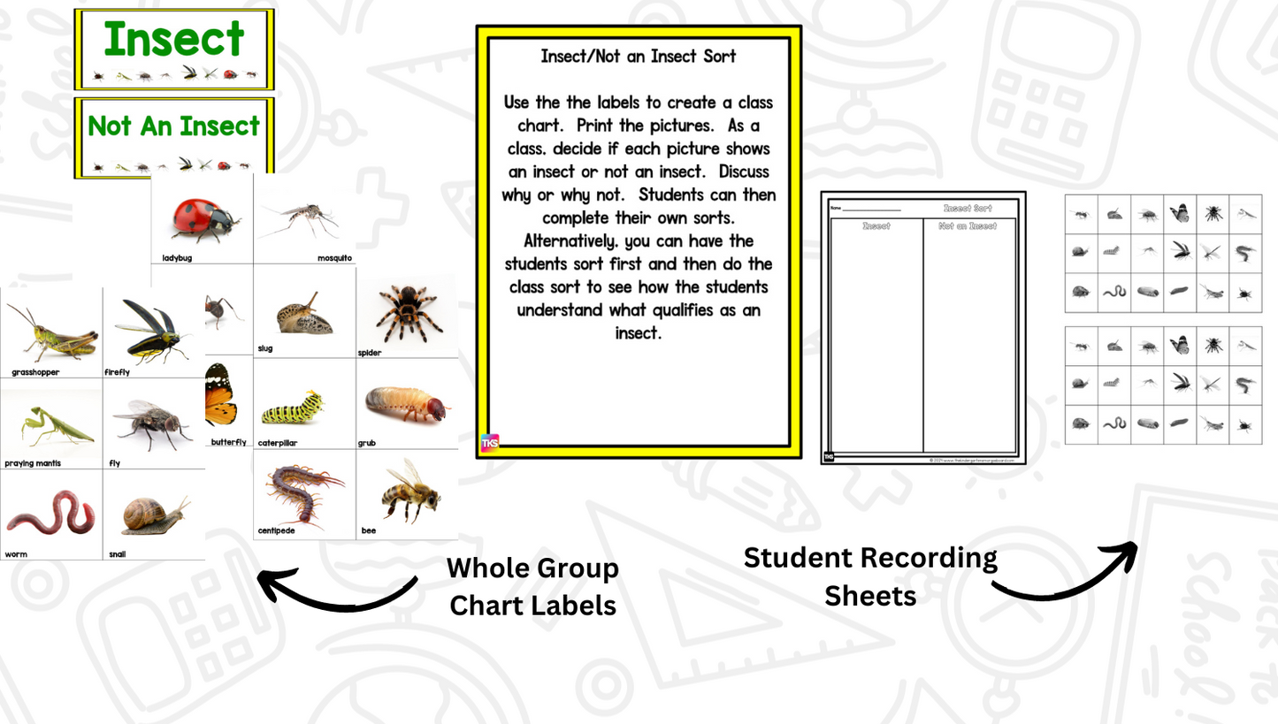 Insects: A Research and Writing Project PLUS Centers!