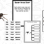 Spiders: A Research and Writing Project PLUS Centers!