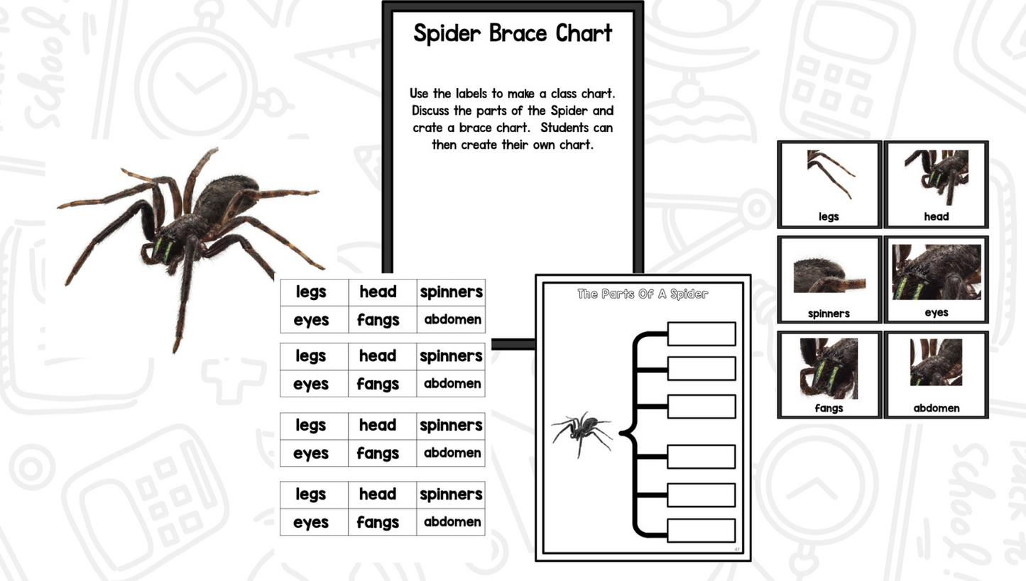 Spiders: A Research and Writing Project PLUS Centers!