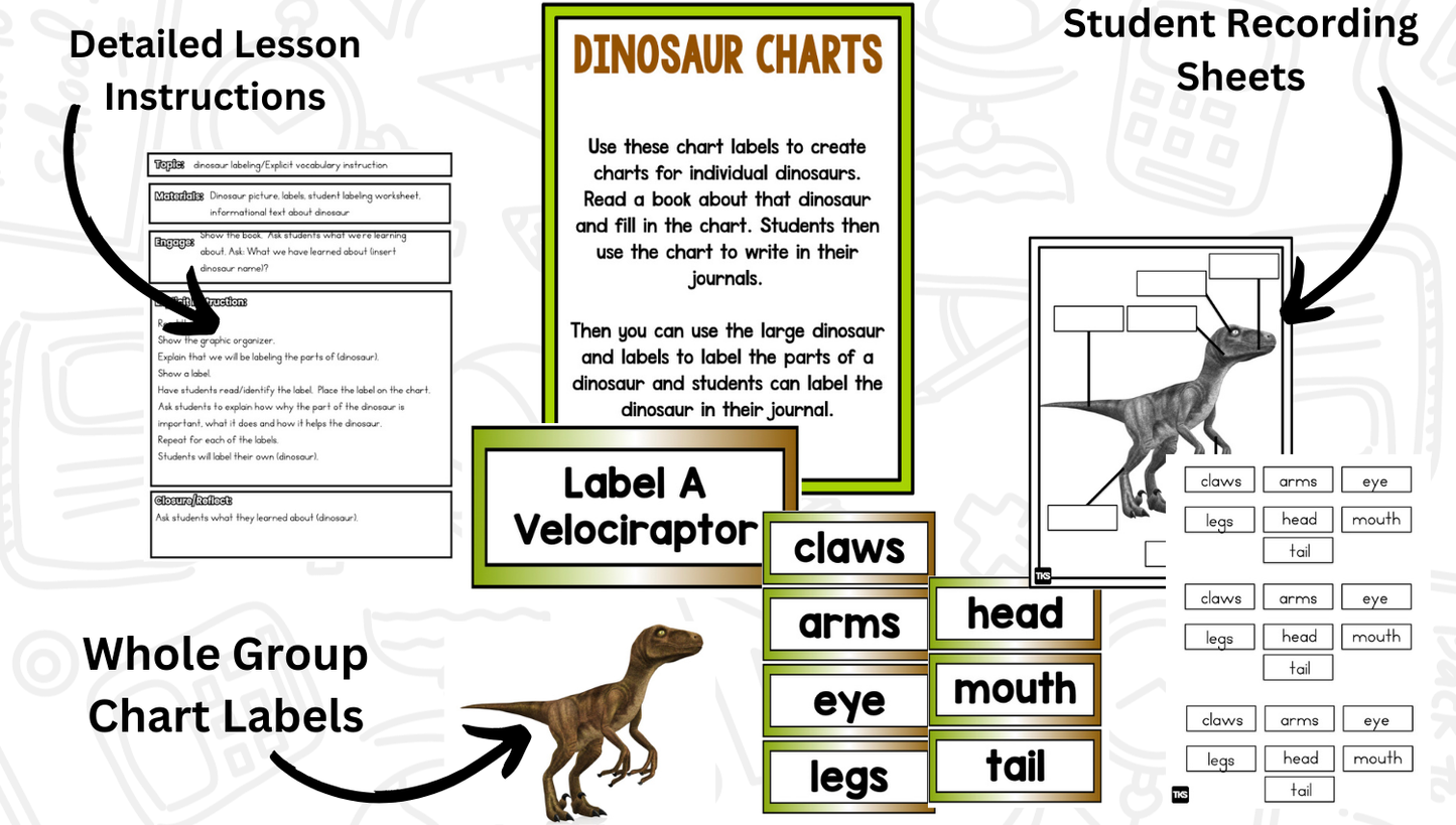 Dinosaur Research Project