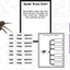 Spiders Reading Writing & Science Activities for Kindergarten