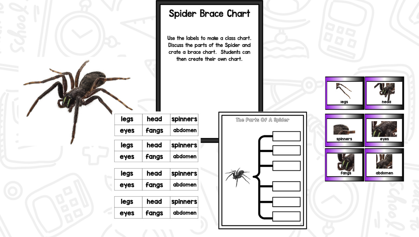 Spiders Reading Writing & Science Activities for Kindergarten