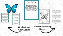 Butterflies: A Research and Writing Project