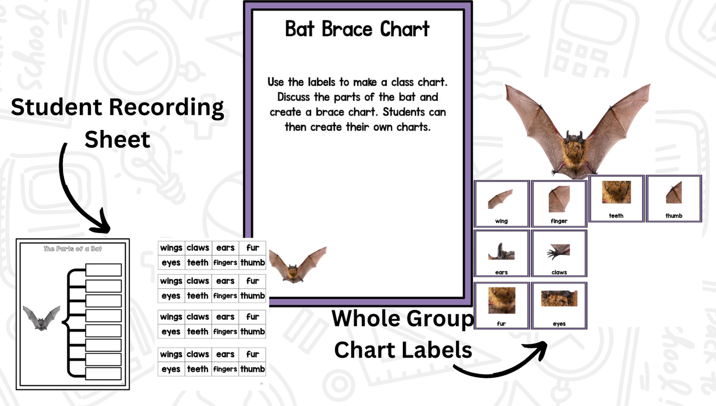 Bats: A Research and Writing Project PLUS Centers!