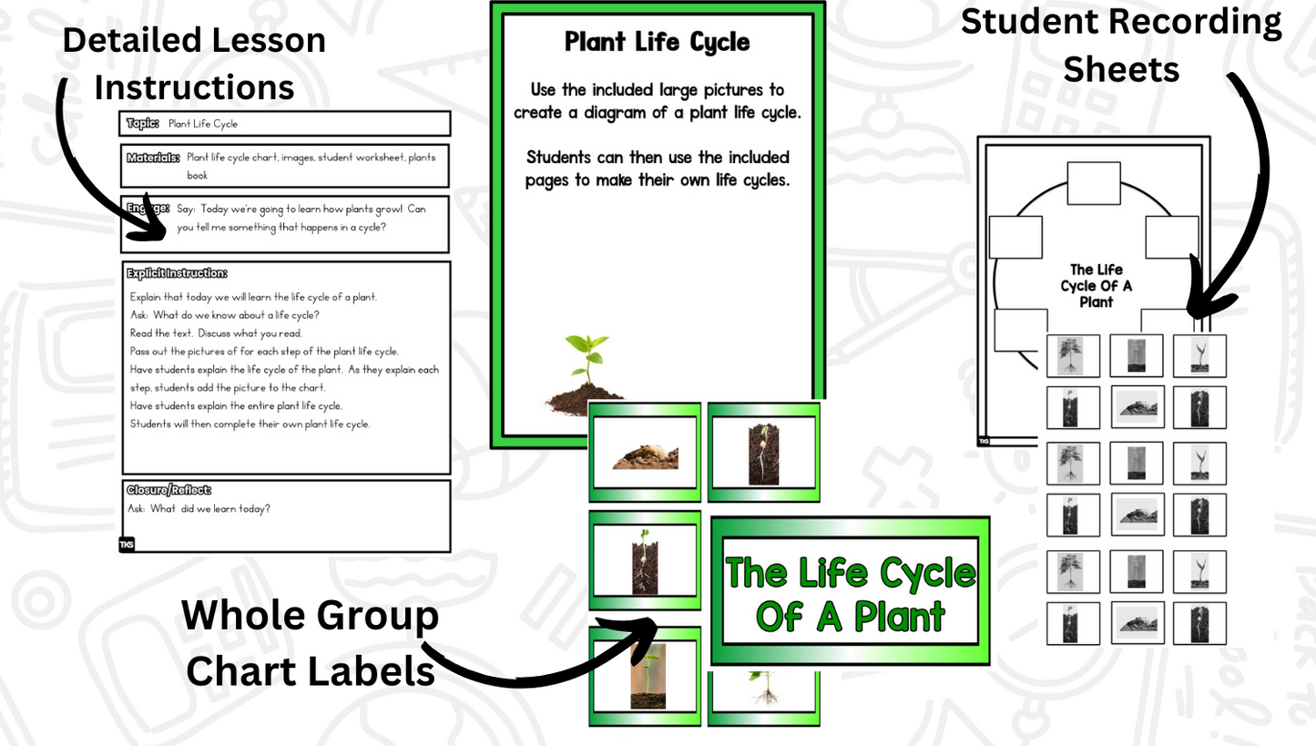 Planting Seeds: A Plants Research and Writing Project PLUS Centers!