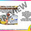 Thanksgiving Activities for Kindergarten & 1st Grade | Social Studies Unit