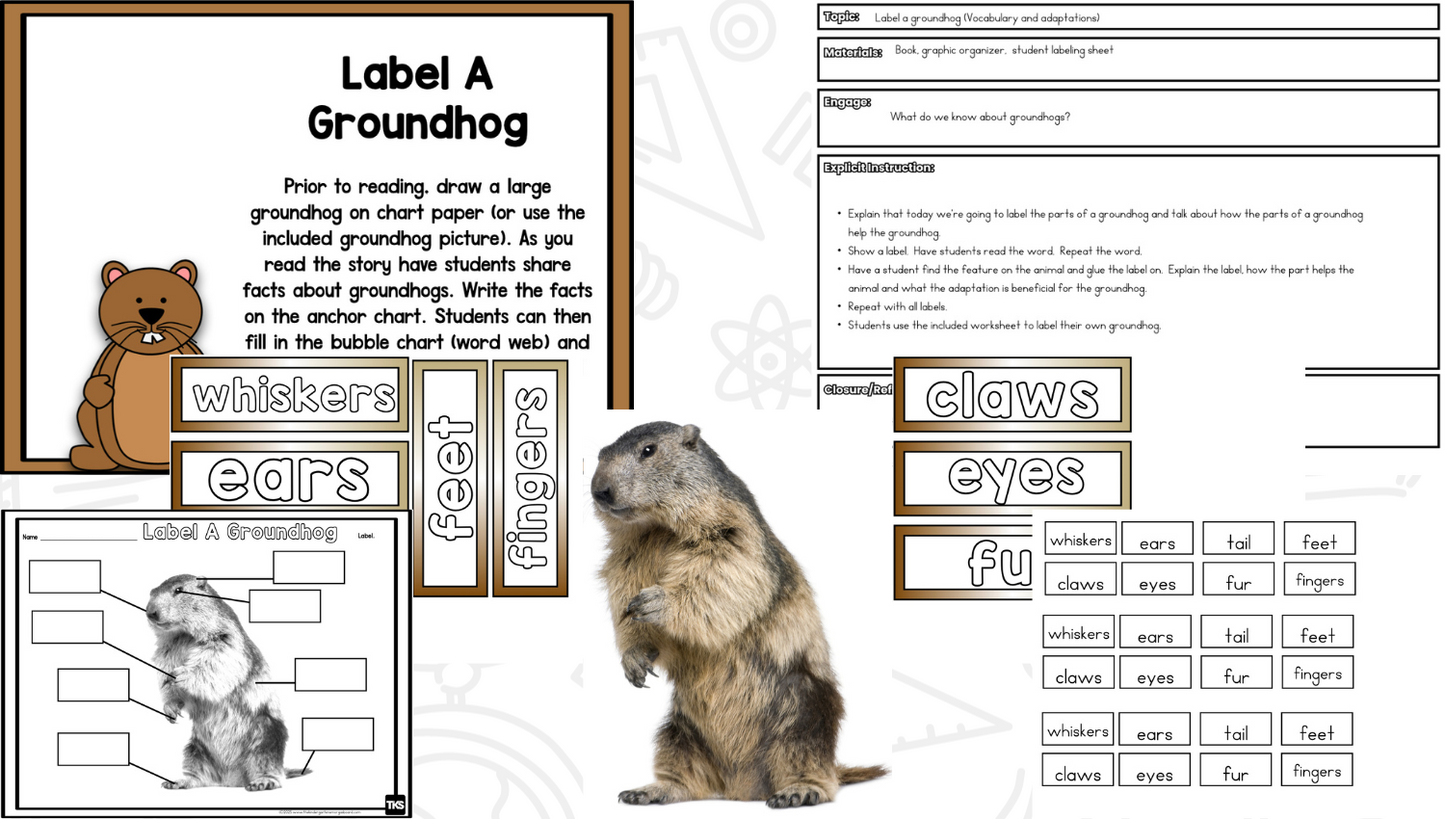 Read It Up! Groundhog Gets a Say