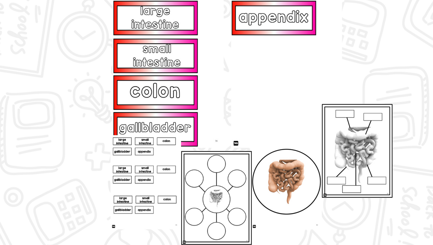 Human Body: A Research and Writing Project PLUS Centers!