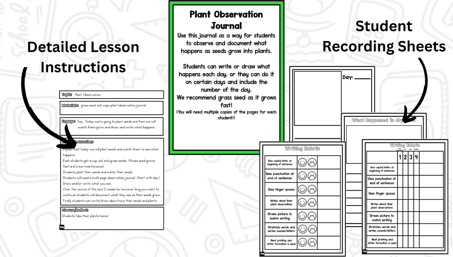 Planting Seeds: A Plants Research and Writing Project PLUS Centers!
