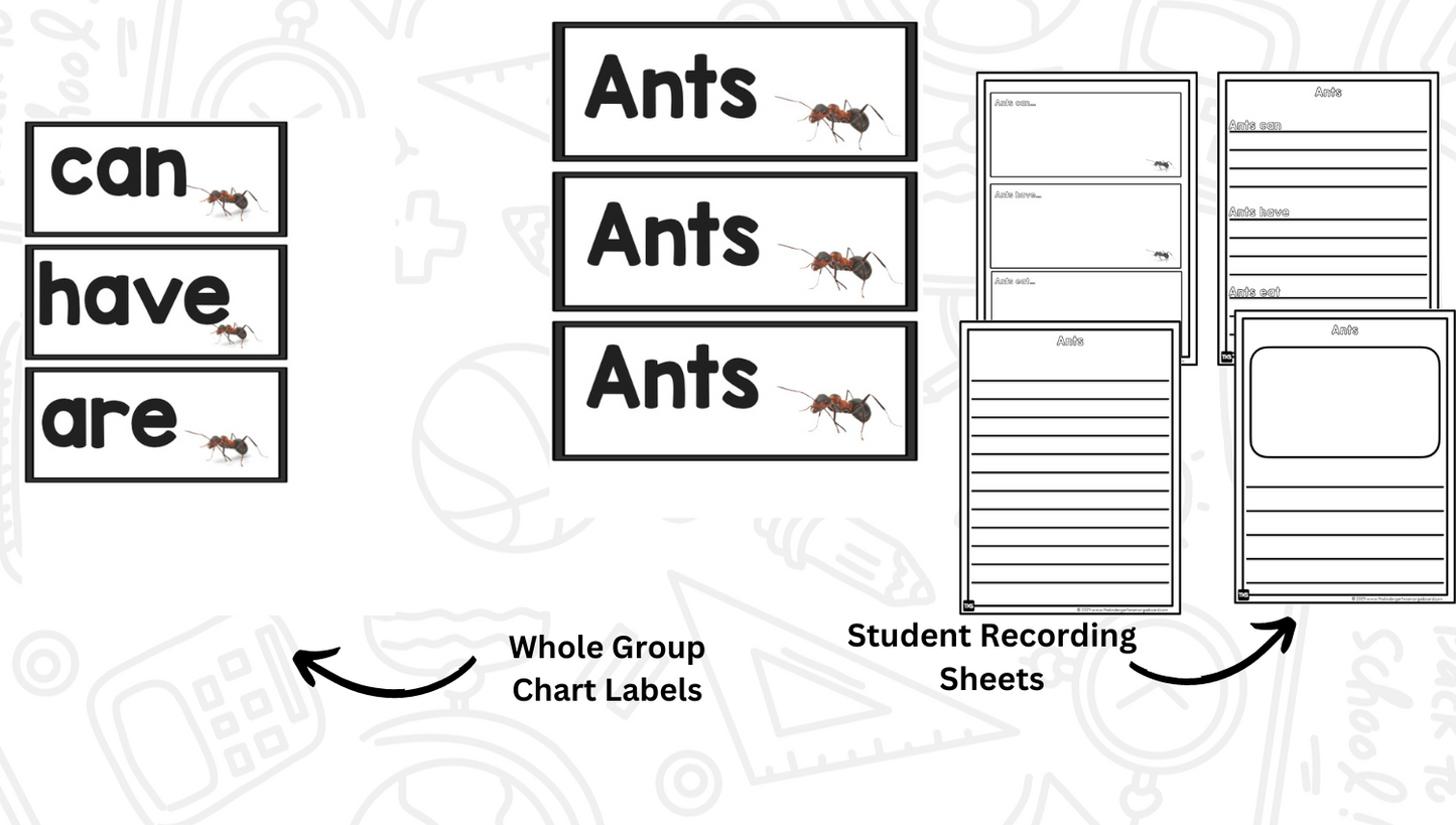 Insects: A Research and Writing Project PLUS Centers!