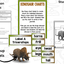 Dinosaur Research Project