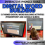 Phonics Activities: 13 Digital Word Building Slides And Phonics Games