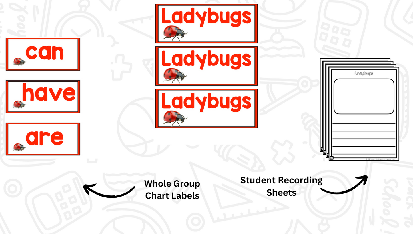 Insects: A Research and Writing Project PLUS Centers!