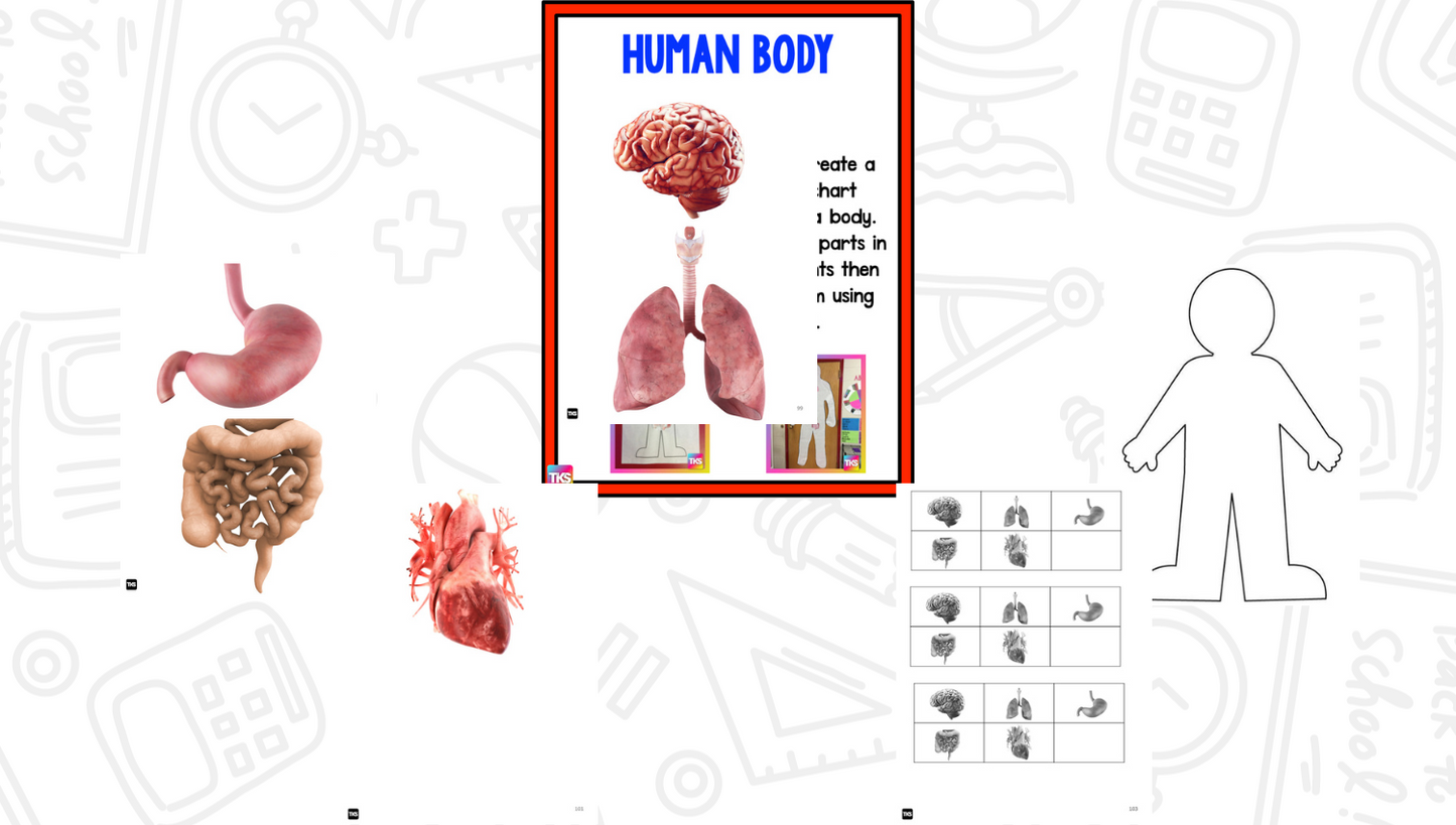 Human Body: A Research and Writing Project PLUS Centers!