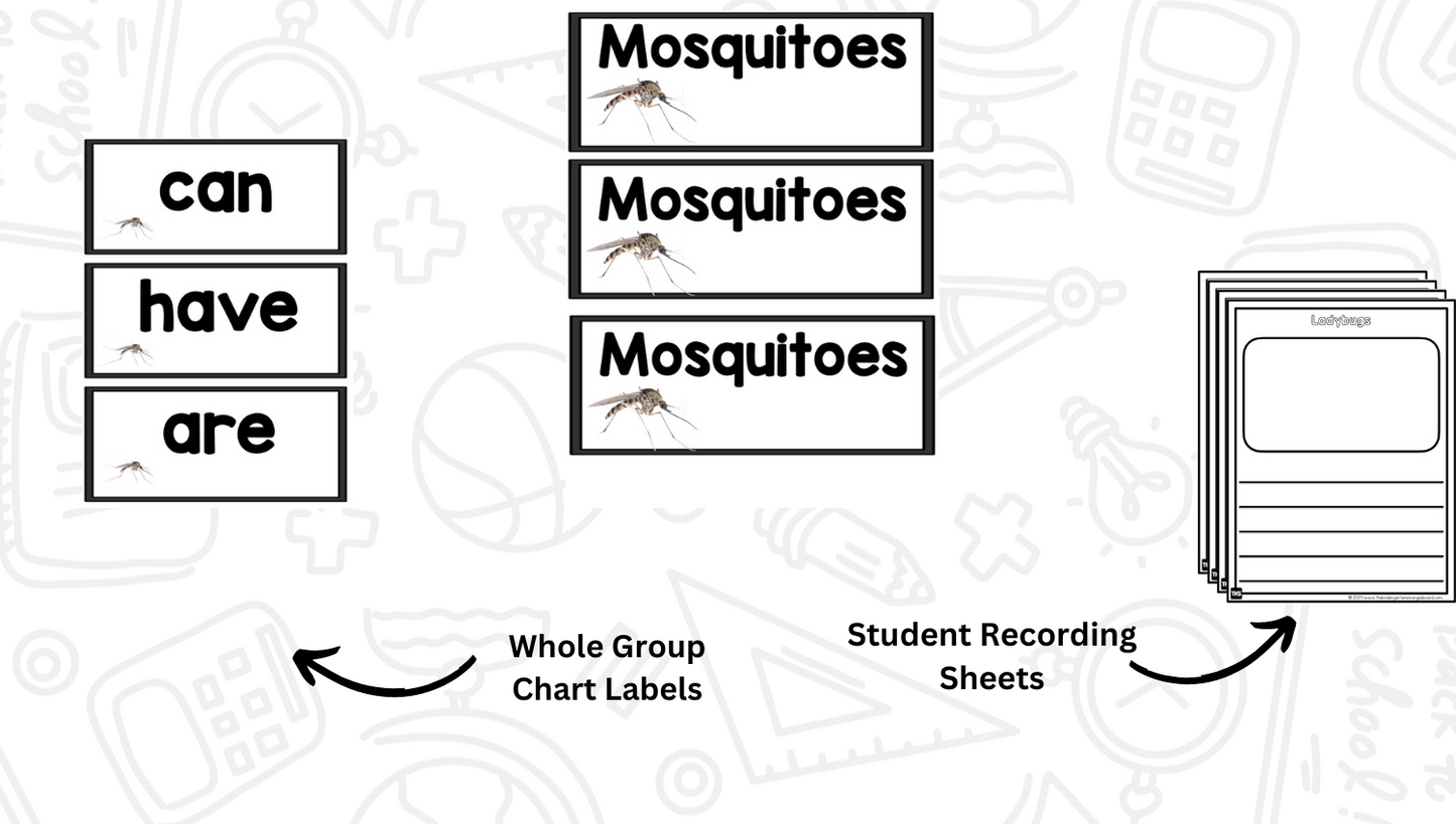 Insects: A Research and Writing Project PLUS Centers!