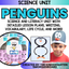 Penguins And Penguin Science Activities for Kindergarten & 1st Grade