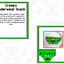 Creepy Pair of Underwear - Creepy Underwear Lesson Plans And Activities