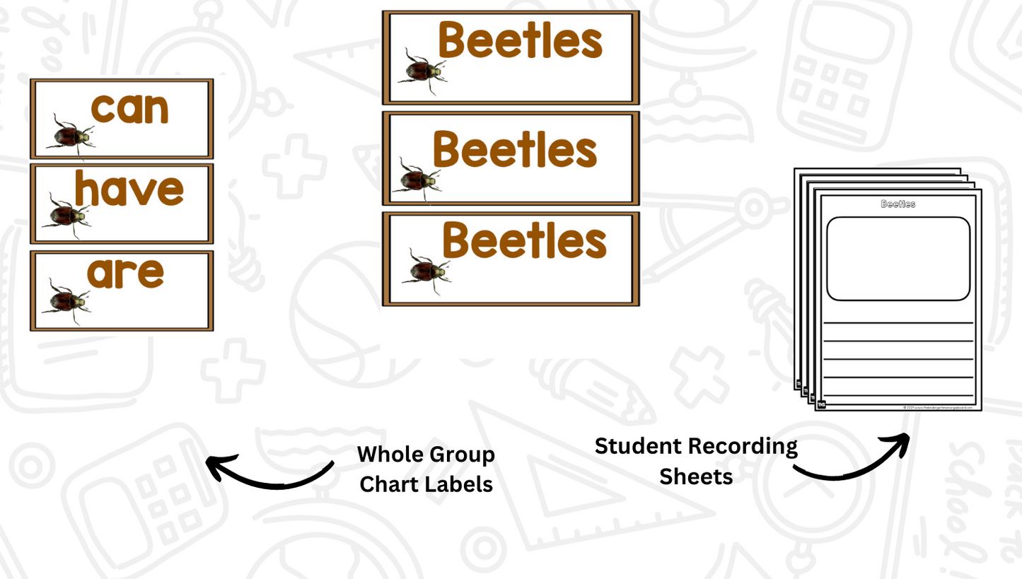 Insects: A Research and Writing Project PLUS Centers!