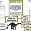 Dinosaur Research Project