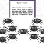 Spiders: A Research and Writing Project PLUS Centers!