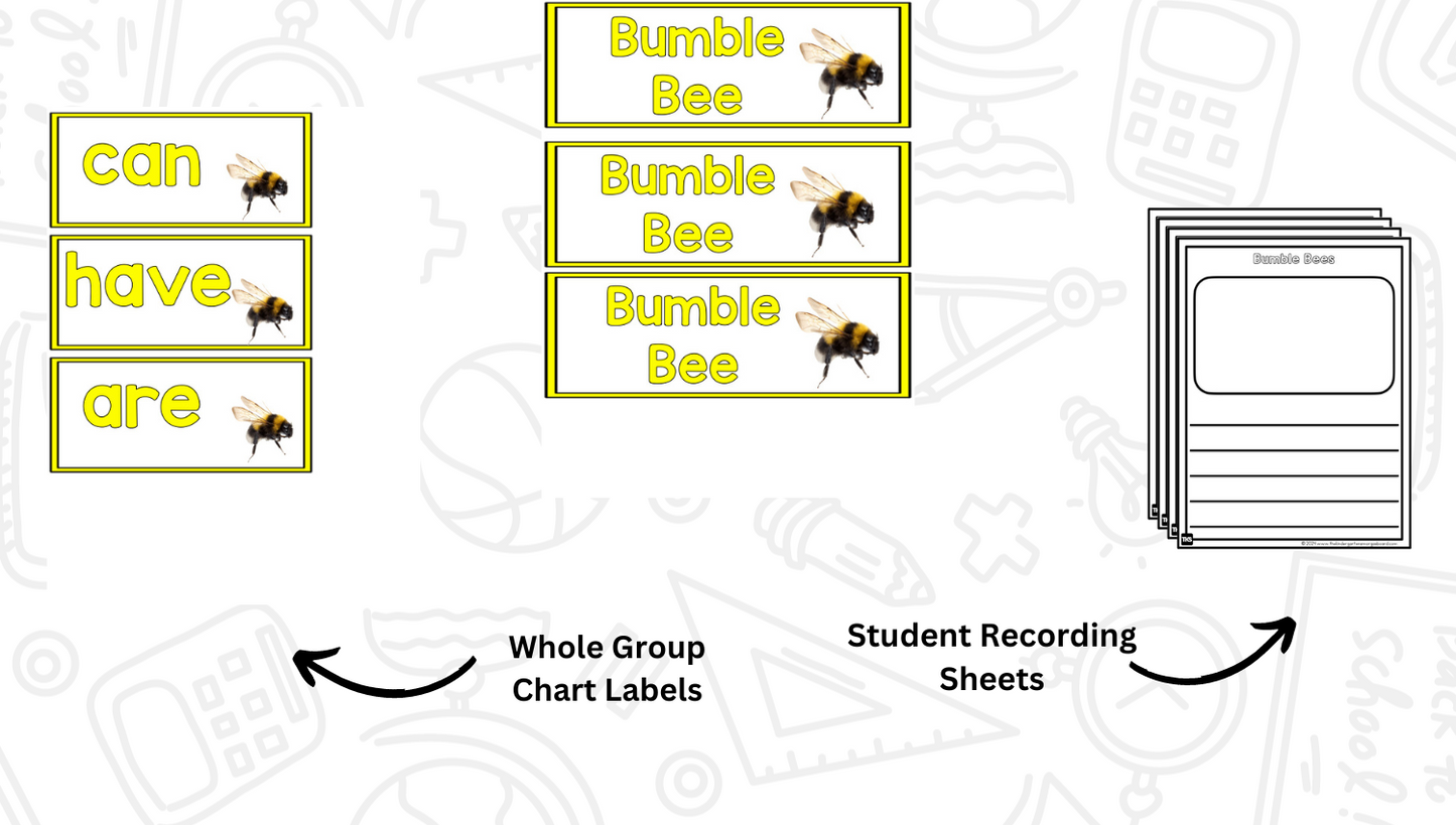 Insects: A Research and Writing Project PLUS Centers!