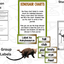 Dinosaur Research Project