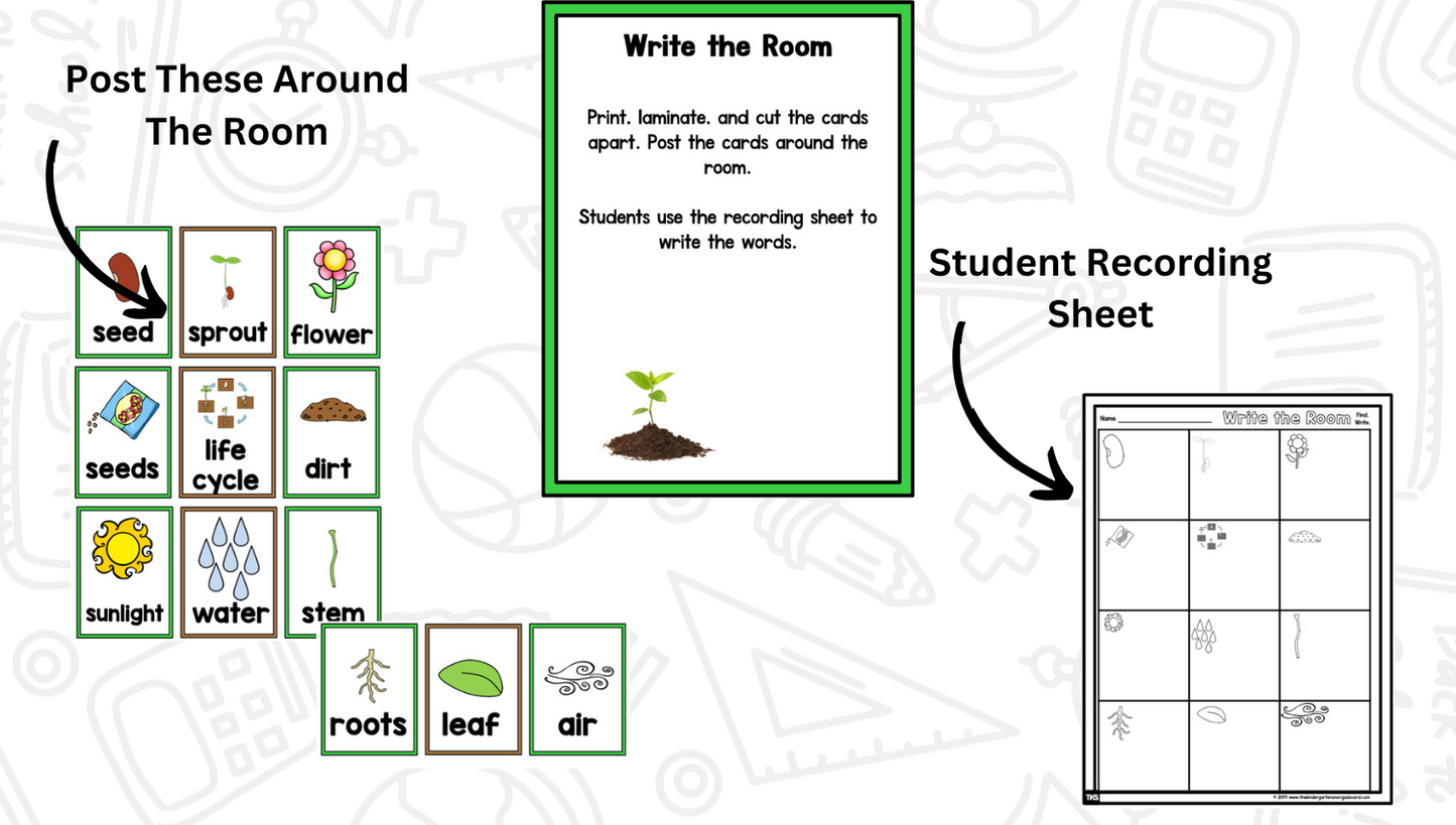 Planting Seeds: A Plants Research and Writing Project PLUS Centers!