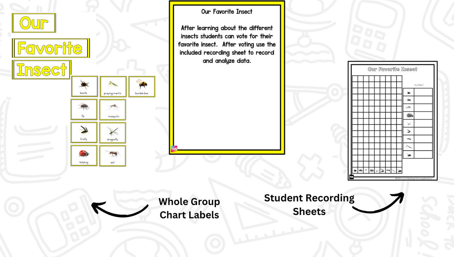 Insects: A Research and Writing Project PLUS Centers!