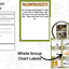 Dinosaur Research Project