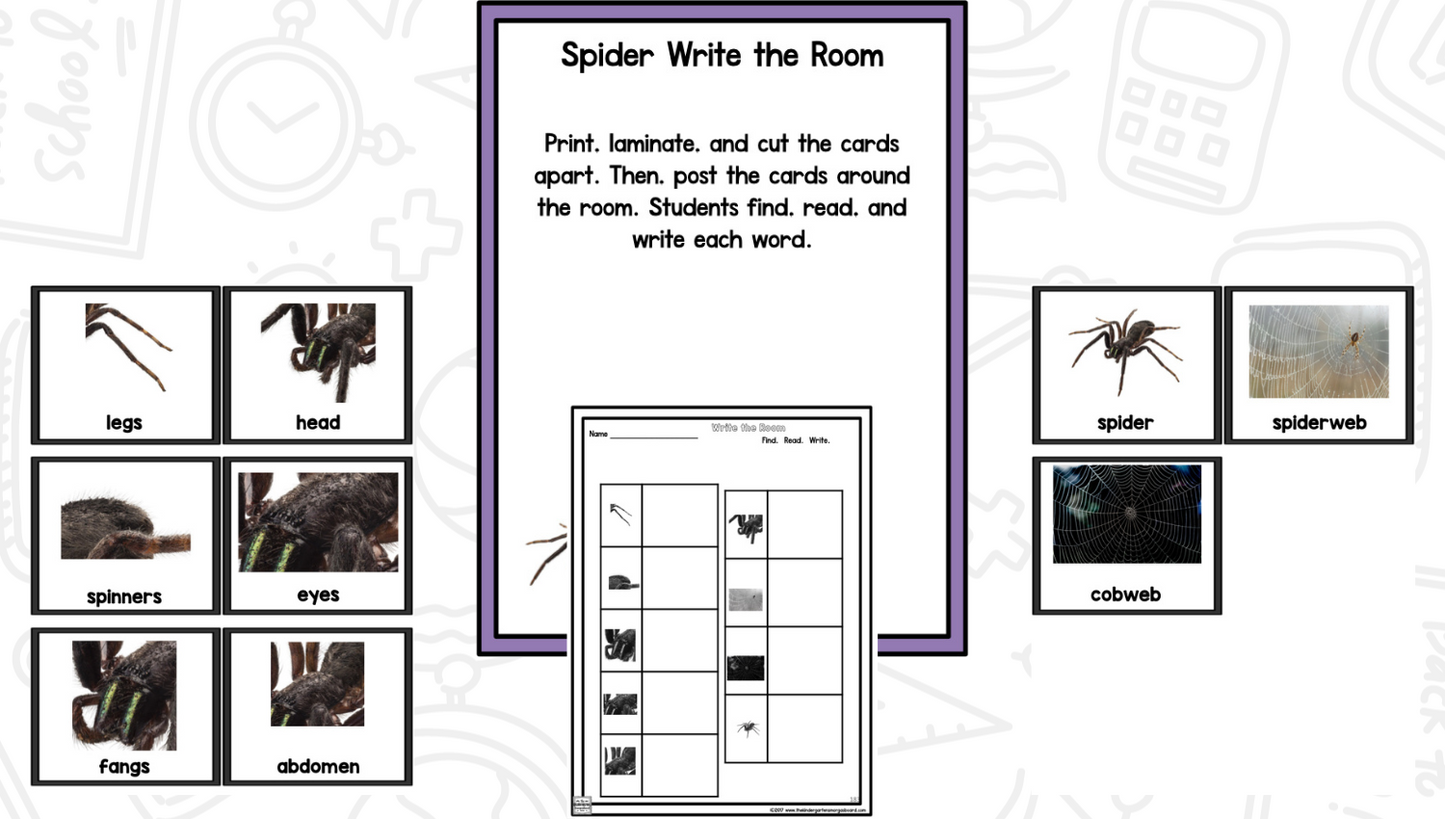 Spiders Reading Writing & Science Activities for Kindergarten