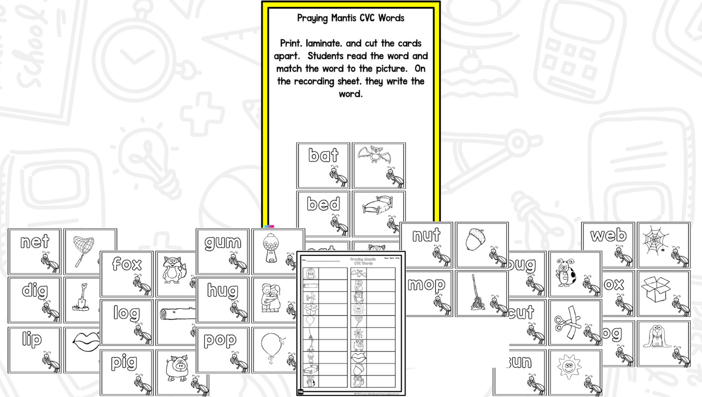 Insects: A Research and Writing Project PLUS Centers!