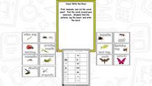 Insects: A Research and Writing Project PLUS Centers!