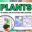Plants Kindergarten | Plant Life Cycle | Plants Unit