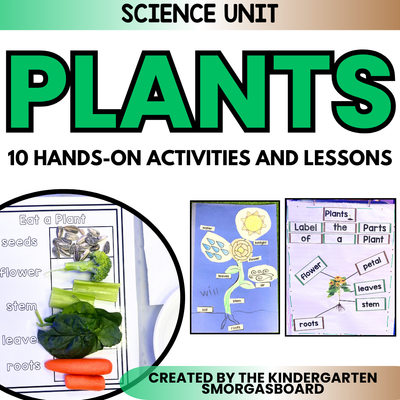 Plants Kindergarten | Plant Life Cycle | Plants Unit