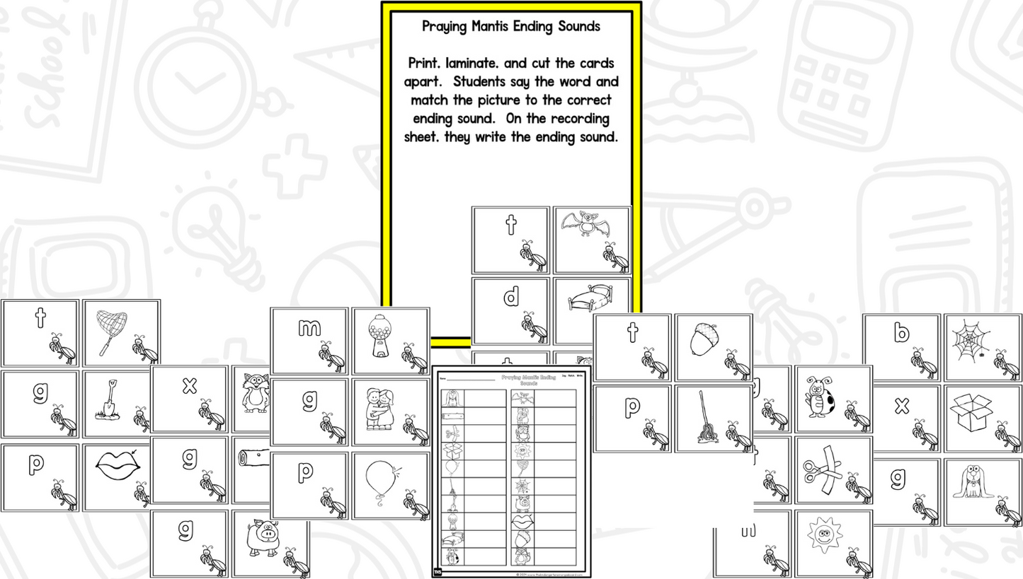 Insects: A Research and Writing Project PLUS Centers!