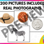 Beginning Sound Picture Cards