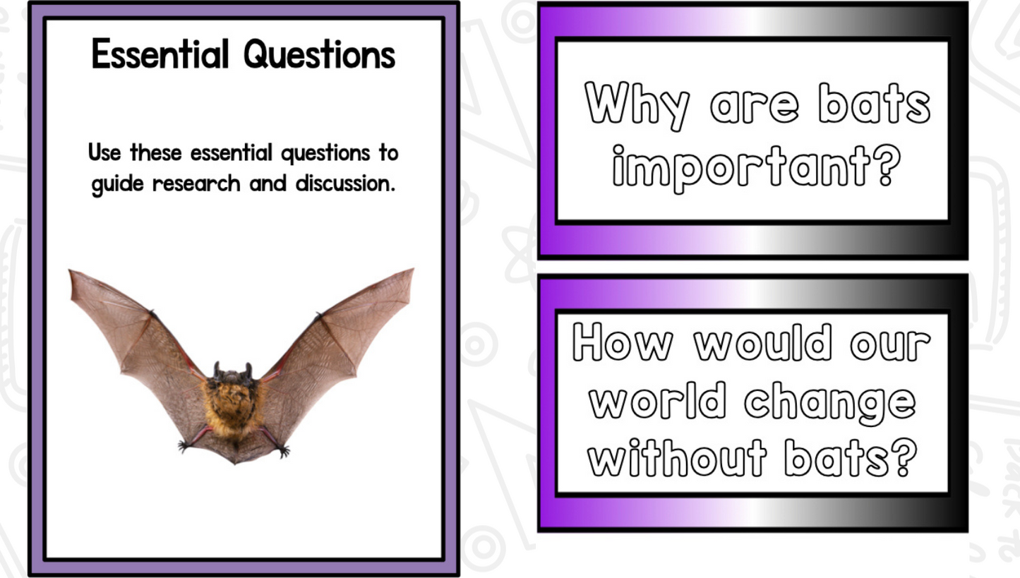 Bats: A Research and Writing Project PLUS Centers!