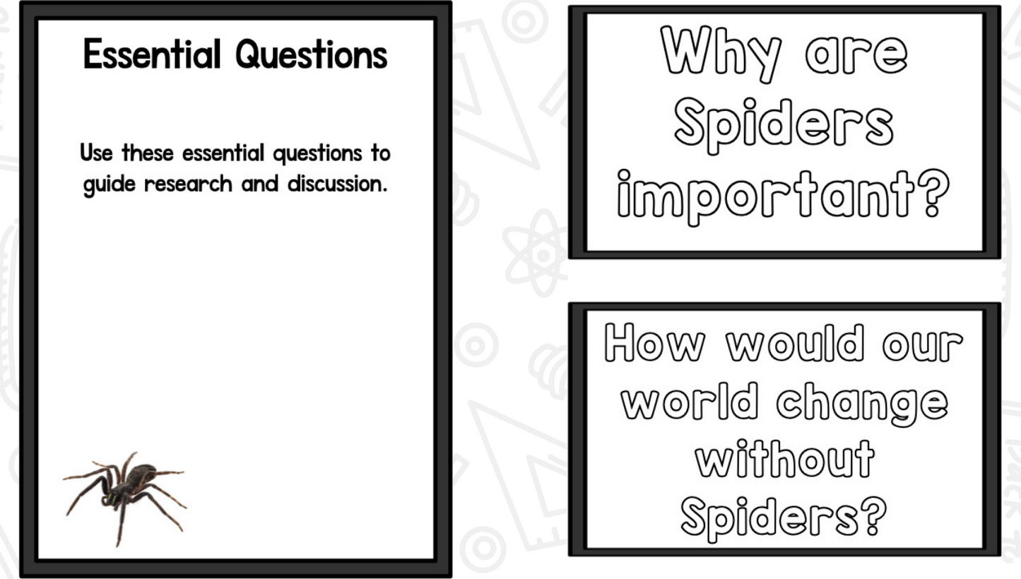 Spiders: A Research and Writing Project PLUS Centers!