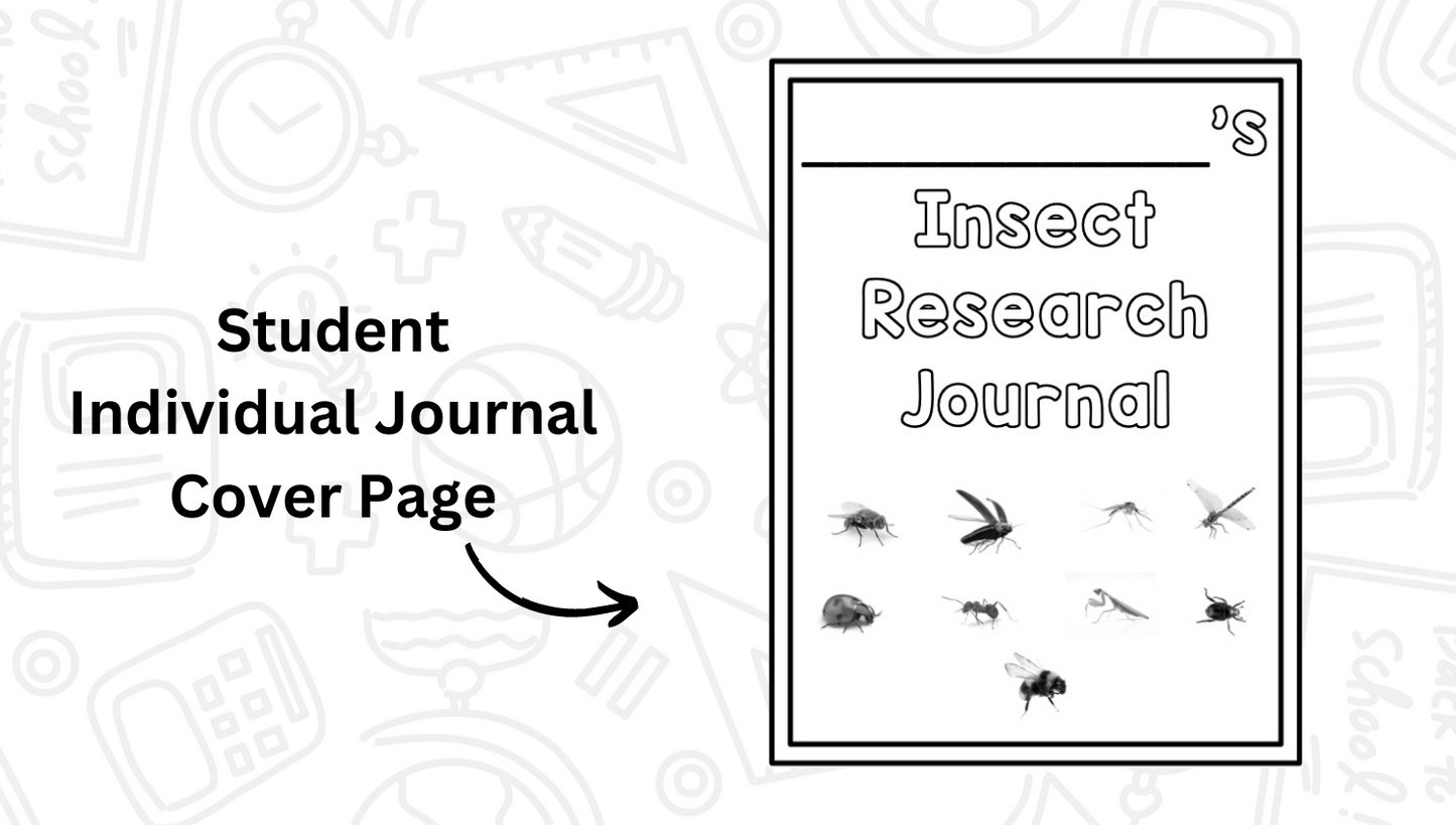 Insects: A Research and Writing Project PLUS Centers!