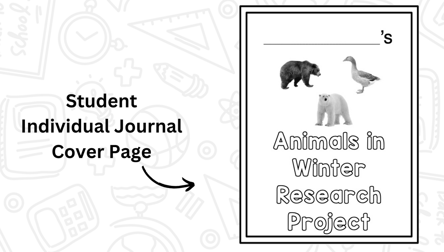 Animals In Winter Research Project